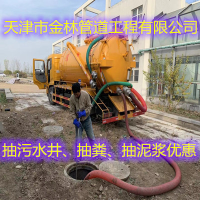 金林12