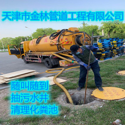 金林004