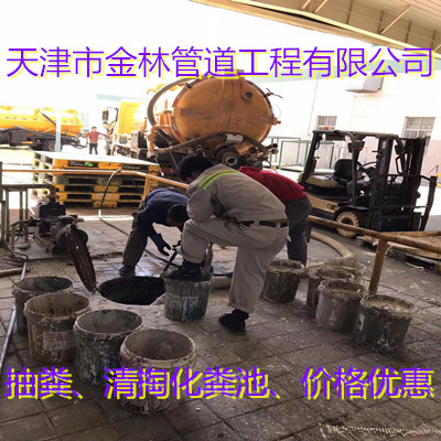 金林006