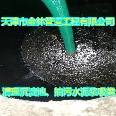 金林008