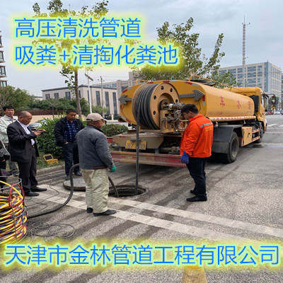 金林002