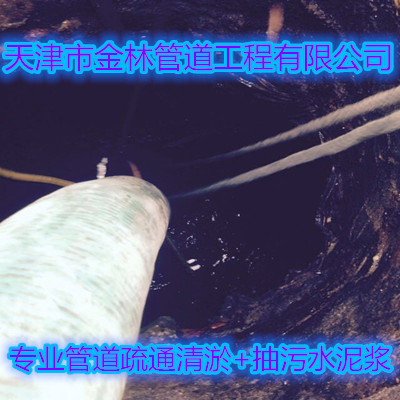 金林19