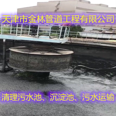金林11