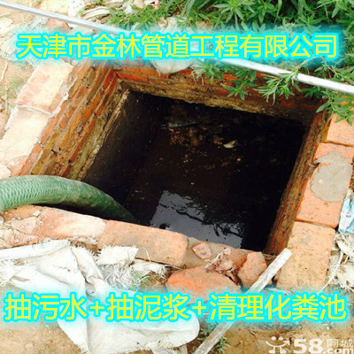 金林001