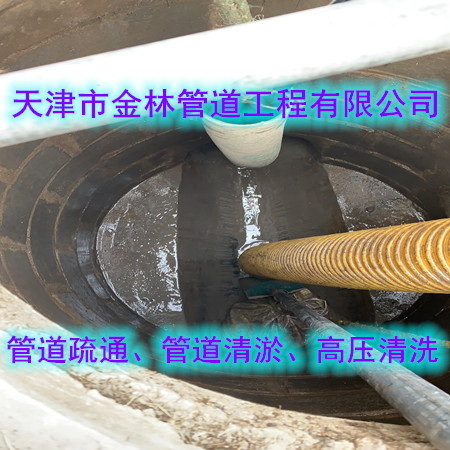 金林36