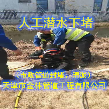 金林45