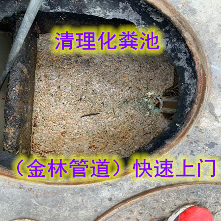 金林38