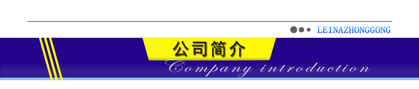 雷纳重工公司简介_副本