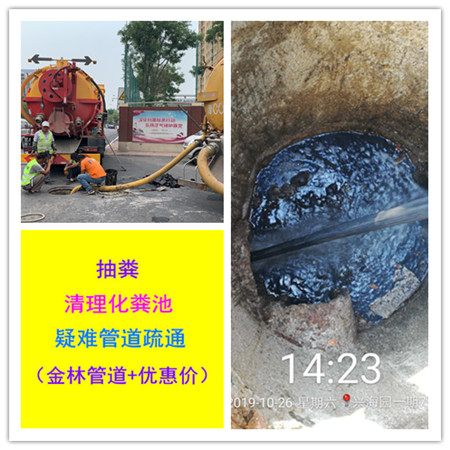 金林39