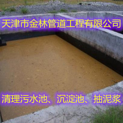金林5
