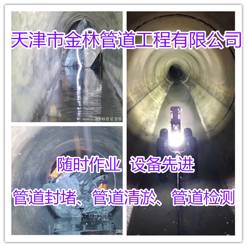 金林28