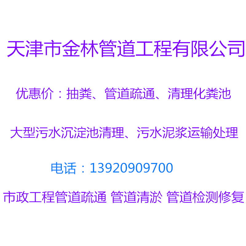 金林26