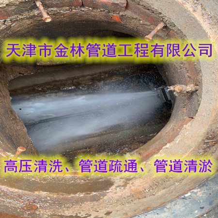 金林42