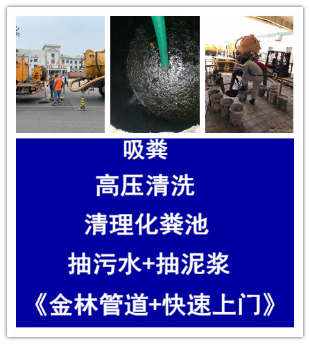 金林40