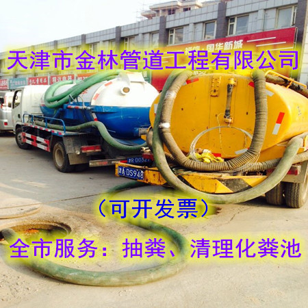 金林37