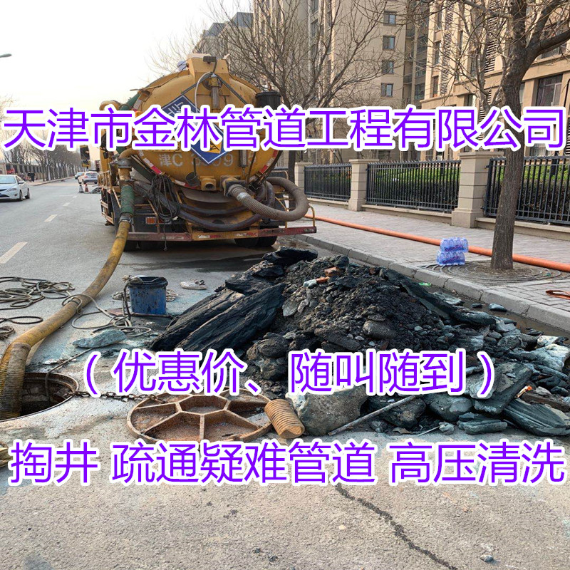 金林4