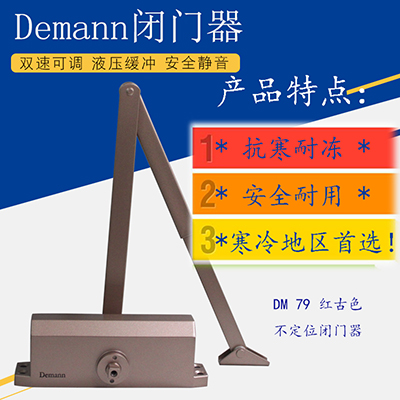 天津Demann闭门器  79红古色闭门器工厂价格