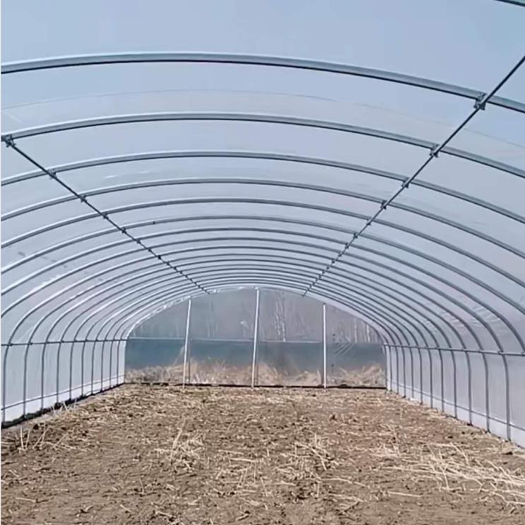 大棚钢架 椭圆管大棚 菏泽曹县大棚钢架 蔬菜大棚管