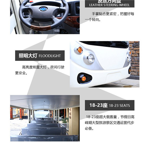 燃油观光车