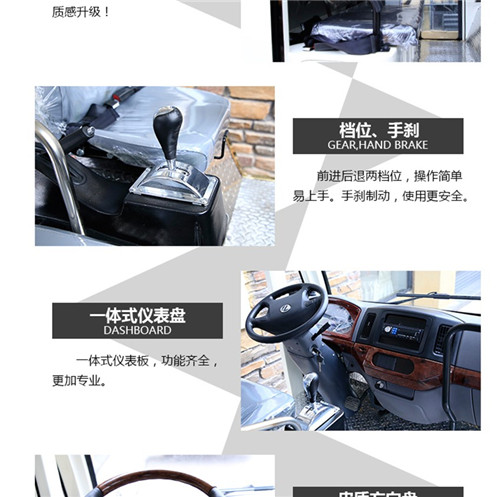 燃油观光车综合05